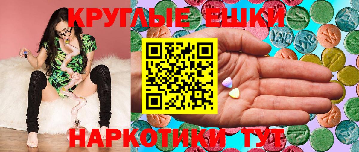 Ecstasy Philipp Plein Кимры