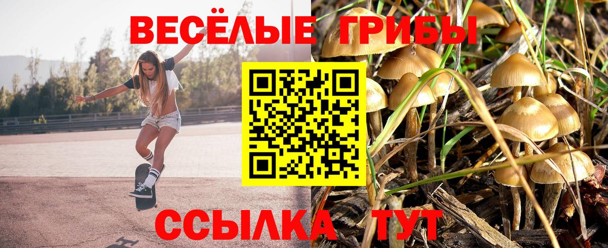 Псилоцибиновые грибы ЛСД  Вход с VPN  Кимры  Галлюциногенные грибы Psilocybe 